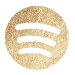 Spotify Podcast